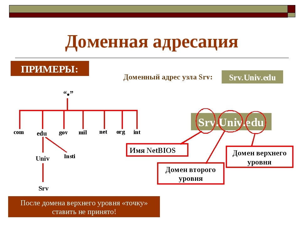 Что такое домен. Доменная адресация. Доменная адресация пример. Доменный адрес пример. Доменное имя пример.