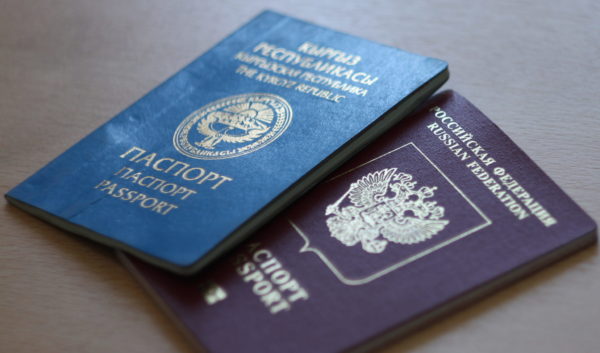 РФ признает двойное гражданство только в том случае, если между РФ и другим государством заключен соответствующий межгосударственный договор